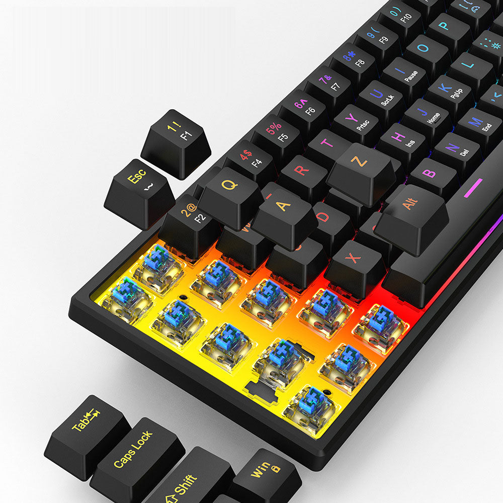 61-Key Wired Mechanical Keyboard — Blue Switch, Pudding Keycaps & RGB Backlight